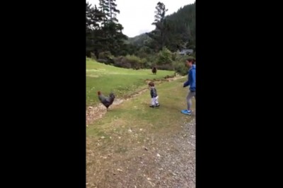 Matka z ogromnym refleksem i dzieciak z wielkim fartem