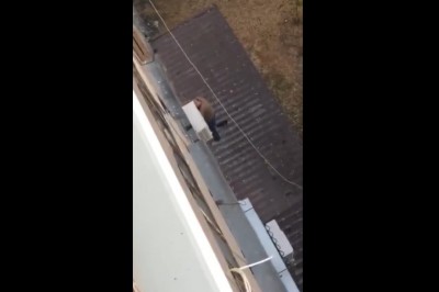 Twarde lądowanie po kłótni ze swoją kobietą. Czasami lepiej odpuścić