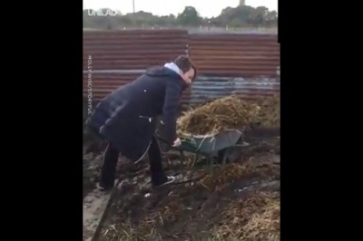 Taczka obornika kontra dziewczyna, czyli typowe wiejskie klimaty 