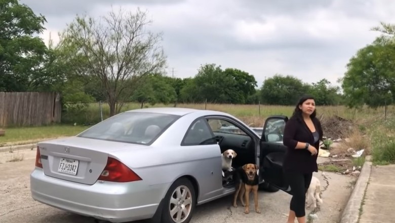 Kobieta przyłapana na gorącym uczynku jak porzuca swoje psy