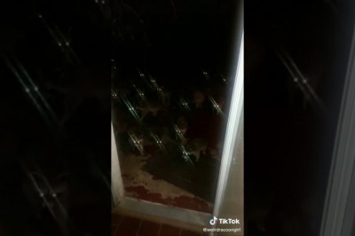 Codzienna porcja ciekawych i zabawnych filmików #30