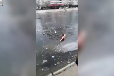 Przechodzeń wskoczył do zamarzniętej rzeki, żeby ratować psa