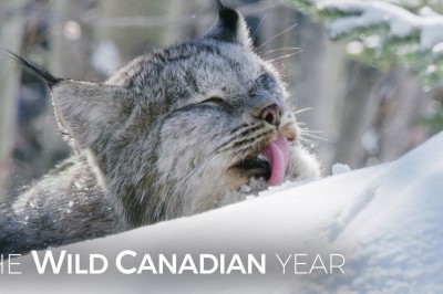 Codzienna porcja ciekawych i zabawnych filmików #35