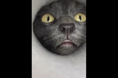 Codzienna porcja ciekawych i zabawnych filmików #42