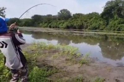 Gdy masz konkretne branie, ale musisz brać nogi za pas i uciekać