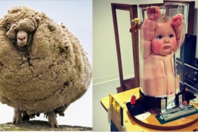 19 rzadkich zdjęć, które każdy z nas powinien zobaczyć chociaż raz w życiu