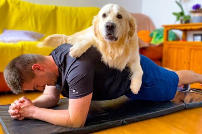 Codzienna porcja ciekawych i zabawnych filmików #72