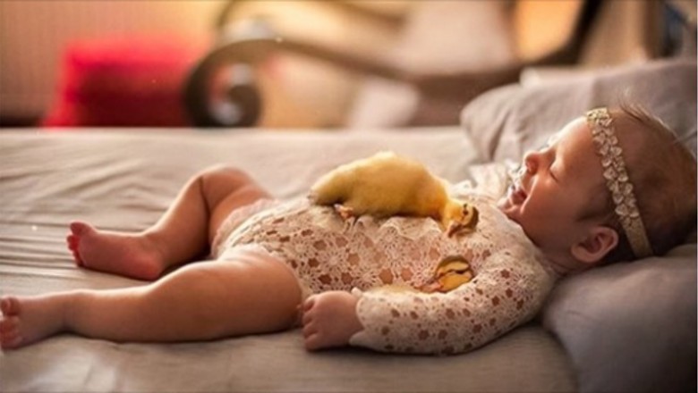 Fotografka robi zdjęcia noworodkom tulącym słodkie zweirzaki. Efekt jest przesłodki