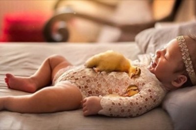 Fotografka robi zdjęcia noworodkom tulącym słodkie zweirzaki. Efekt jest przesłodki