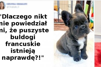 19 zdjęć, które mogą przekonać cię do adopcji psa. Już chcesz je przytulać