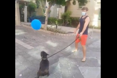 Codzienna porcja ciekawych i zabawnych filmików #89