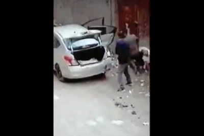 Mistrzowskie upychanie zwierząt do auta. Z krową to ich poniosło 