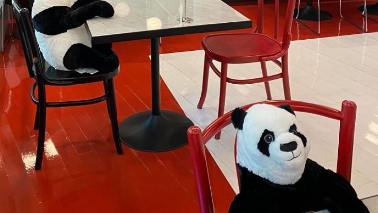 Ta restauracja znalazła genialny sposób na to, by jej goście czuli się mniej samotnie, kiedy zachowują dystans od siebie. Pomogły…pandy.