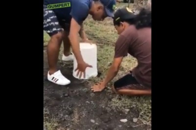 Dostaniesz 10 jak mi pomożesz złapać zwierza. Konkretna wkręta