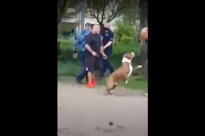 Kiedy interwencja policji nie idzie po ich myśli i muszą się wycofać