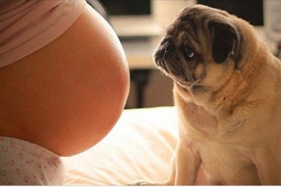 Zapierające dech w piersiach zdjęcia, które mogą każdego doprowadzić do łez