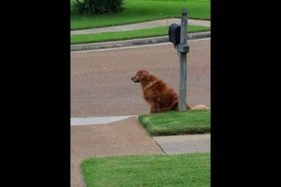 Codzienna porcja ciekawych i zabawnych filmików #128