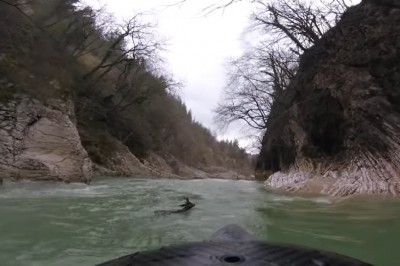 Kajakarze ratują jelenia przed utonięciem w rzece