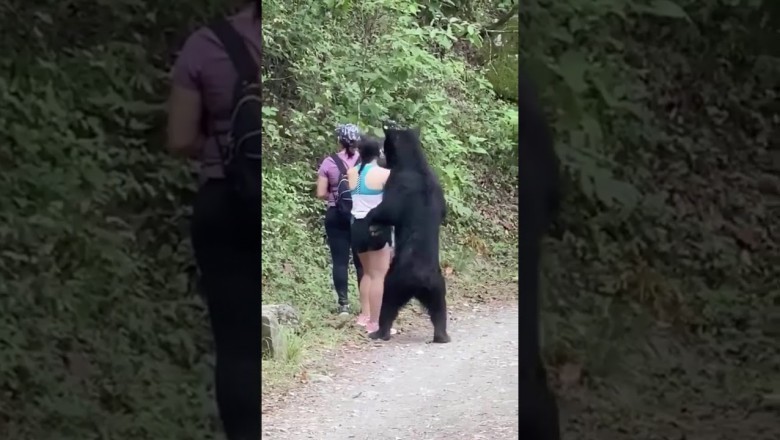 Kiedy spotykasz w lesie niedźwiedzia, który chce się zaprzyjaźnić 