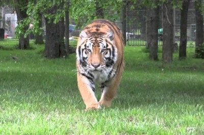 Codzienna porcja ciekawych i zabawnych filmików #151