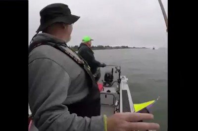 Łowisz sobie spokojnie ryby, a tu nagle taka niespodzianka 