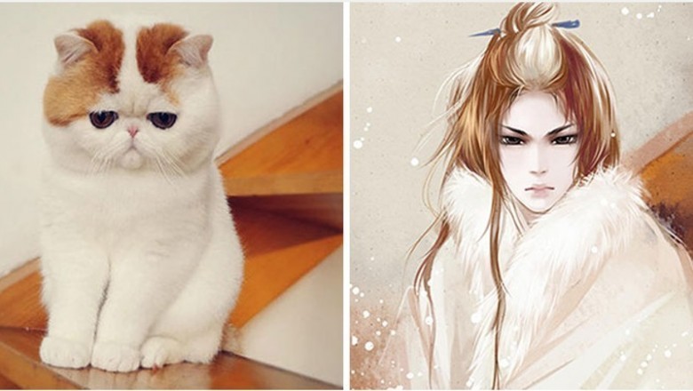 Chiński artysta tworzy ludzkie repliki zdjęć kotów. Jakim Ty jesteś kotem?