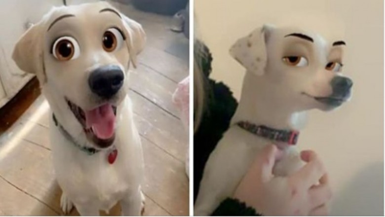 Ten niezwykły filtr sprawia, że twój pies wygląda jak postać z bajki Disneya
