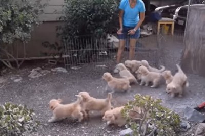 Codzienna porcja ciekawych i zabawnych filmików #176