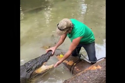 Kiedy masz robotę do zrobienia, ale ktoś ciągle Ci przeszkadza