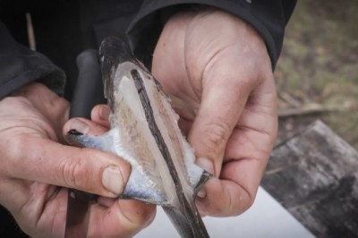 Codzienna porcja ciekawych i zabawnych filmików #188