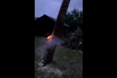 Ścinanie drzewa za pomocą sporej petardy