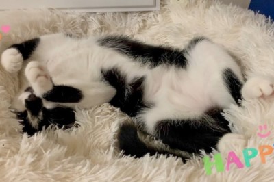 Codzienna porcja ciekawych i zabawnych filmików #213