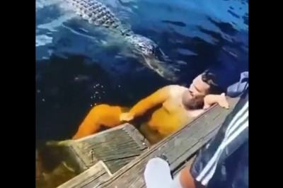 Kozak kontra krokodyle. Postanowił się z nimi wykąpać 