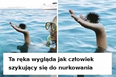 20 zdjęć, które stają się coraz lepsze im dłużej się na nie patrzysz. Łatwo oszukać mózg