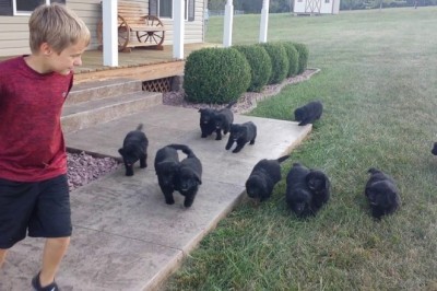 Codzienna porcja ciekawych i zabawnych filmików #222