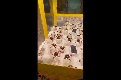 Kiedy postanowisz wygrać dla swojej dziewczyny nowego Iphone'a 