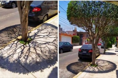 18 sytuacji, w których matka natura wywołała u nas gęsią skórkę