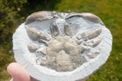 Codzienna porcja ciekawych i zabawnych filmików #253