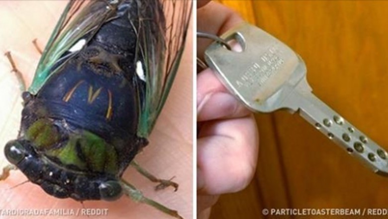 Ci ludzie doświadczyli czegoś, co trudno wytłumaczyć. Gdy natura mówi, że czas coś zjeść
