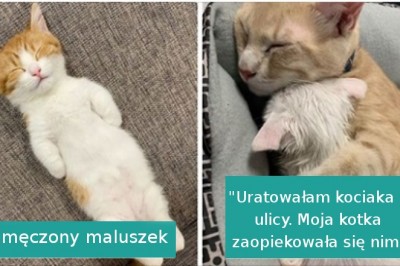 17 udowadniających, że zasnąć można w każdej pozycji