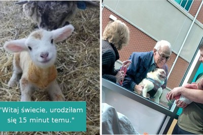 17 zdjęć, które podniosą cię na duchu i poprawią humor nawet w ciężkim dniu