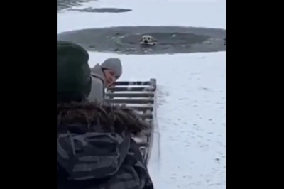 Ratowanie psa, który wpadł do zamarzniętego oczka wodnego 