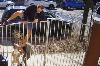 Agresywny pies rzucił się na biegacza. Właścicielka nie mogła sobie z nim poradzić