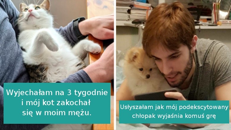 20 bezwstydnych zwierzaków, które bezczelnie ukradły partnerów swoim właścicielom