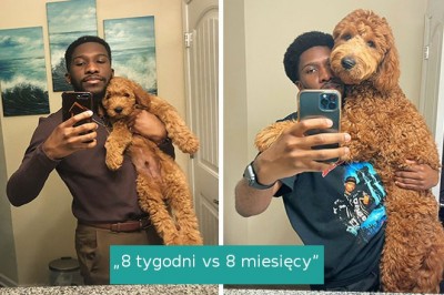 Ludzie dzielą się uroczymi zdjęciami „Przed i po”, ukazującymi jak szybko dorastają ich psy