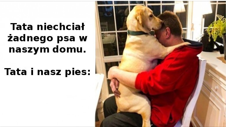 18 osób, które kategorycznie nie chciały zwierząt w domu, a teraz nie mogą bez nich żyć