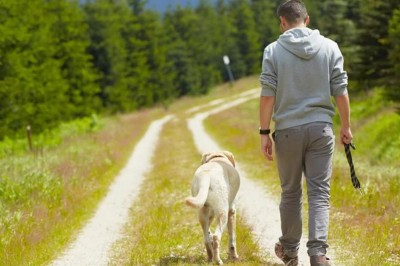 Nawet 500 zł za spacer z psem. Wchodzą nowe mandaty dla właścicieli psów
