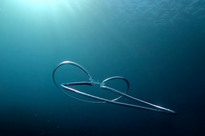 Codzienna porcja ciekawych i zabawnych filmików #316