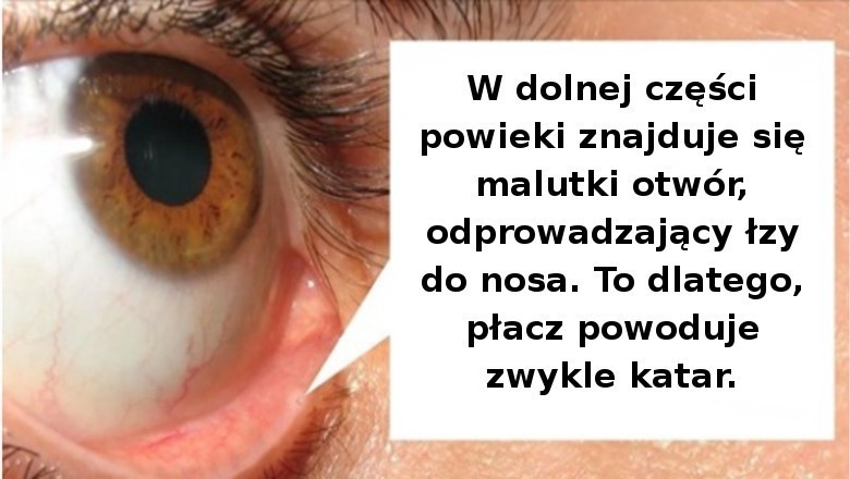 15 interesujących faktów na temat ludzkiego ciała. Wciąż potrafi nas zaskoczyć