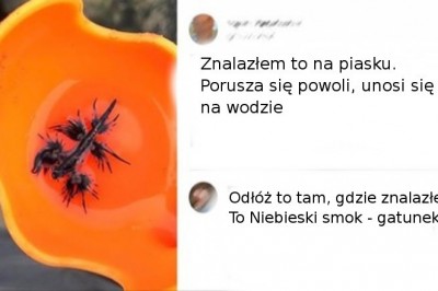 15 osób, które nieoczekiwanie były świadkami małego cudu natury